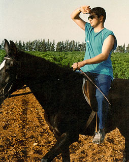 ���� ����